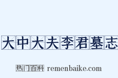 大中大夫李君墓志是什么意思的图片